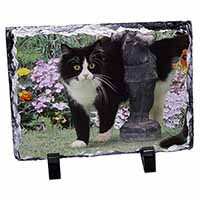 Black and White Cat in Garden, Stunning Photo Slate