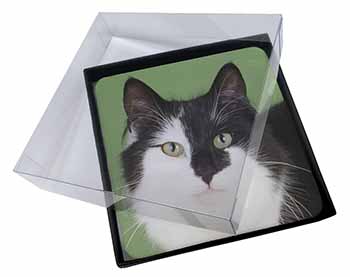 4x Black and White Cats Face Picture Table Coasters Set in Gift Box