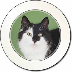Black and White Cats Face Car or Van Permit Holder/Tax Disc Holder