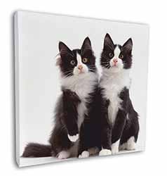 Black and White Kittens Square Canvas 12"x12" Wall Art Picture Print