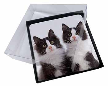 4x Black and White Kittens Picture Table Coasters Set in Gift Box