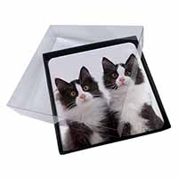 4x Black and White Kittens Picture Table Coasters Set in Gift Box