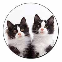 Black and White Kittens Fridge Magnet Printed Full Colour