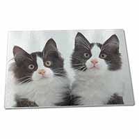 Large Glass Cutting Chopping Board Black and White Kittens