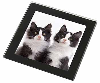 Black and White Kittens Black Rim High Quality Glass Coaster