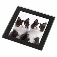 Black and White Kittens Black Rim High Quality Glass Coaster