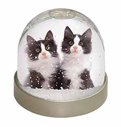 Black and White Kittens Snow Globe Photo Waterball