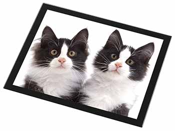 Black and White Kittens Black Rim High Quality Glass Placemat