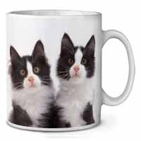 Black and White Kittens Ceramic 10oz Coffee Mug/Tea Cup