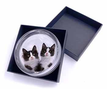 Black and White Kittens Glass Paperweight in Gift Box