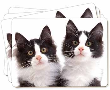 Black and White Kittens Picture Placemats in Gift Box