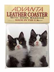 Black and White Kittens Single Leather Photo Coaster