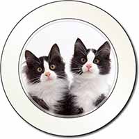 Black and White Kittens Car or Van Permit Holder/Tax Disc Holder
