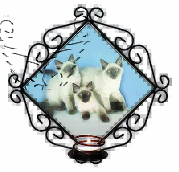 Ragdoll Kittens Wrought Iron Wall Art Candle Holder
