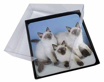 4x Ragdoll Kittens Picture Table Coasters Set in Gift Box