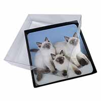 4x Ragdoll Kittens Picture Table Coasters Set in Gift Box