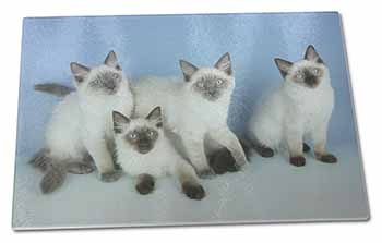 Large Glass Cutting Chopping Board Ragdoll Kittens