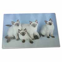 Large Glass Cutting Chopping Board Ragdoll Kittens