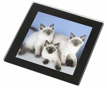 Ragdoll Kittens Black Rim High Quality Glass Coaster