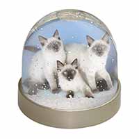 Ragdoll Kittens Snow Globe Photo Waterball
