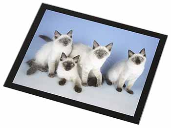 Ragdoll Kittens Black Rim High Quality Glass Placemat