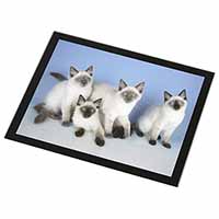 Ragdoll Kittens Black Rim High Quality Glass Placemat