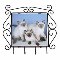 Ragdoll Kittens Wrought Iron Key Holder Hooks