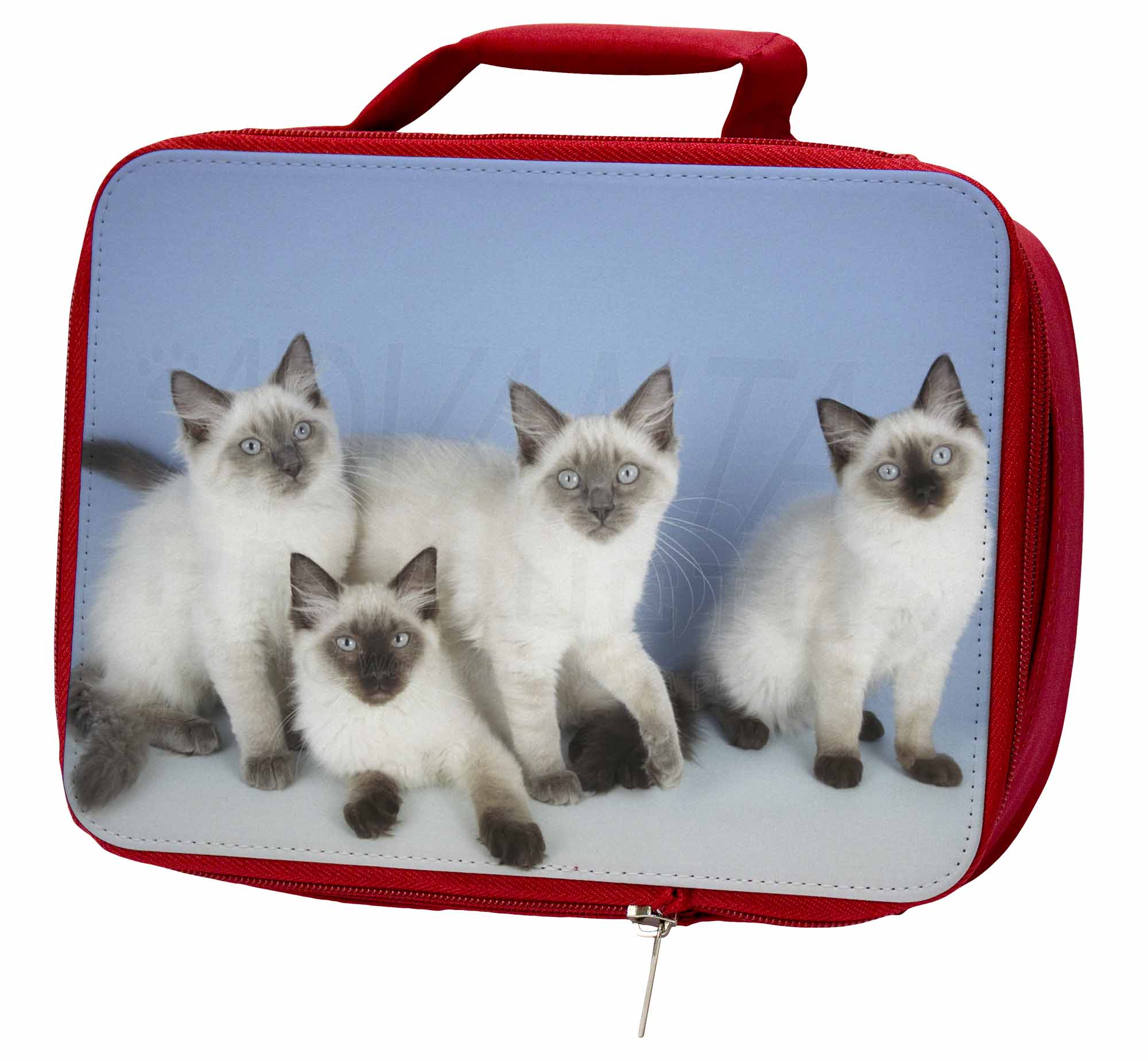 Ragdoll Kittens Insulated Red School Lunch Box/Picnic Bag, AC-19LBR Ragdoll Kittens Red Insulated Red Kittens School Lunch Box/Picnic Bag, AC-19LBR fe93fe