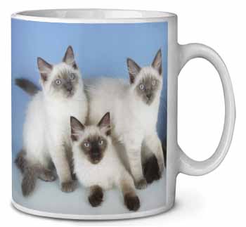 Ragdoll Kittens Ceramic 10oz Coffee Mug/Tea Cup