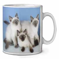 Ragdoll Kittens Ceramic 10oz Coffee Mug/Tea Cup