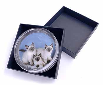 Ragdoll Kittens Glass Paperweight in Gift Box