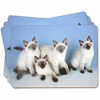 Ragdoll Kittens Picture Placemats in Gift Box