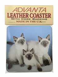 Ragdoll Kittens Single Leather Photo Coaster