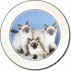 Ragdoll Kittens Car or Van Permit Holder/Tax Disc Holder