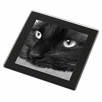 Gorgeous Black Cat Black Rim High Quality Glass Coaster