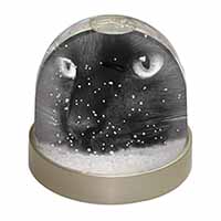 Gorgeous Black Cat Snow Globe Photo Waterball