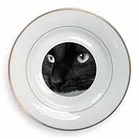 Gorgeous Black Cat Gold Rim Plate Printed Full Colour in Gift Box