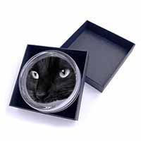 Gorgeous Black Cat Glass Paperweight in Gift Box