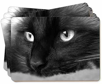 Gorgeous Black Cat Picture Placemats in Gift Box