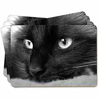 Gorgeous Black Cat Picture Placemats in Gift Box - Advanta Group®