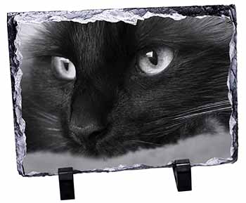 Gorgeous Black Cat, Stunning Photo Slate