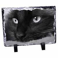 Gorgeous Black Cat, Stunning Photo Slate