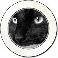 Gorgeous Black Cat Car or Van Permit Holder/Tax Disc Holder