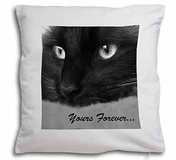 Black Cat 