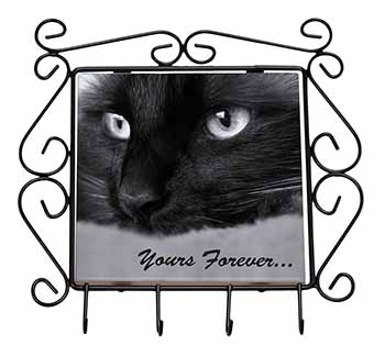 Black Cat 
