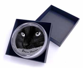 Black Cat 