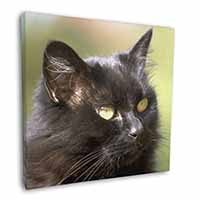Beautiful Fluffy Black Cat Square Canvas 12"x12" Wall Art Picture Print