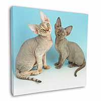 Devon Rex Cats Square Canvas 12"x12" Wall Art Picture Print