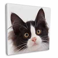 Black and White Cat Square Canvas 12"x12" Wall Art Picture Print