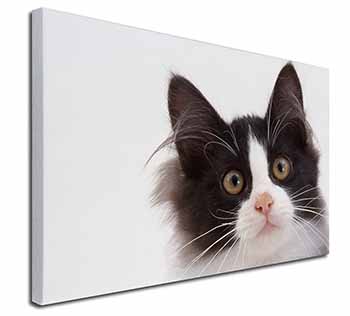 Black and White Cat Canvas X-Large 30"x20" Wall Art Print